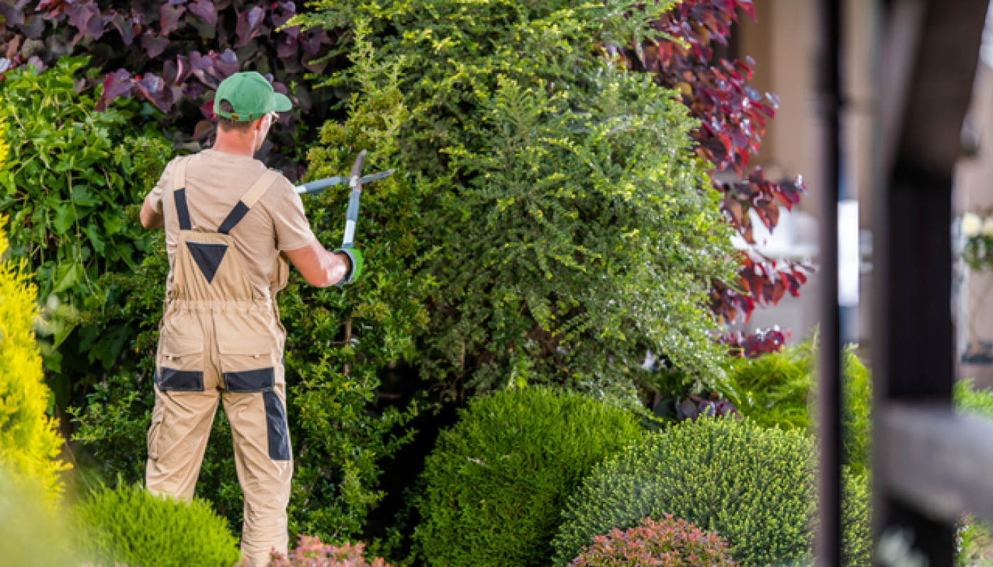 Jardinage - Comment trouver un bon paysagiste à Vanves ?